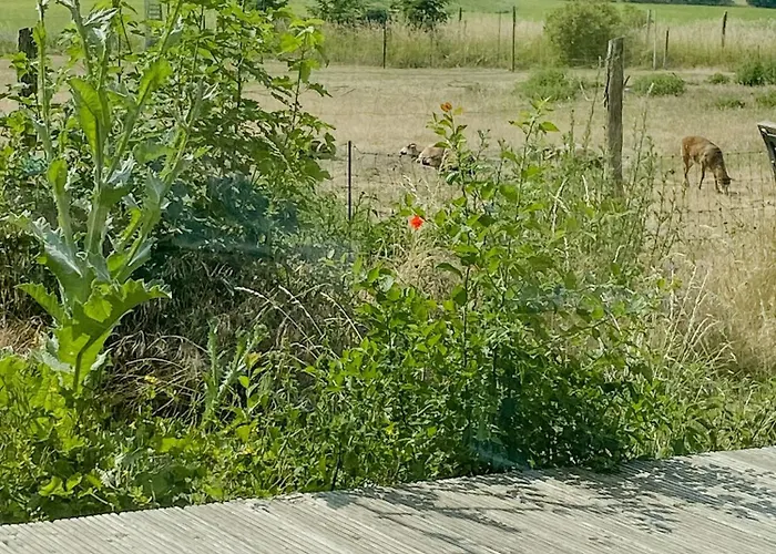 Natural Wooden House With Panoramic View